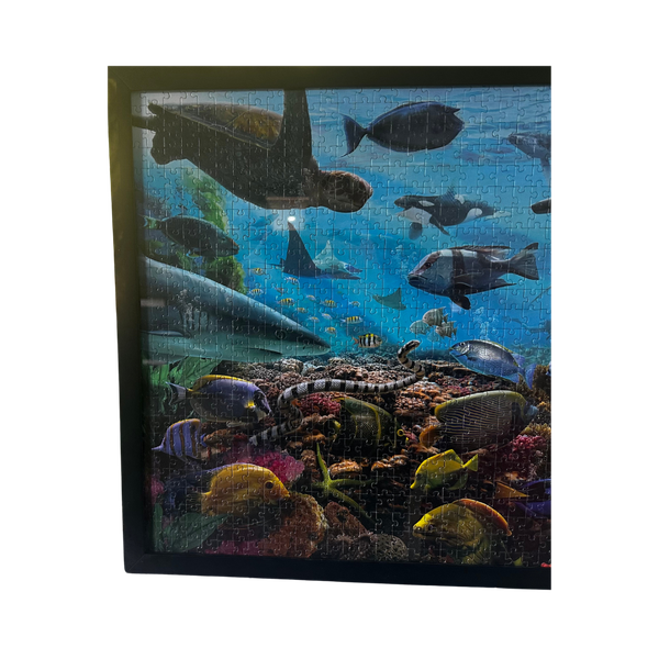 03 quadro de quebra cabeca criaturas marinhas 1000 pc